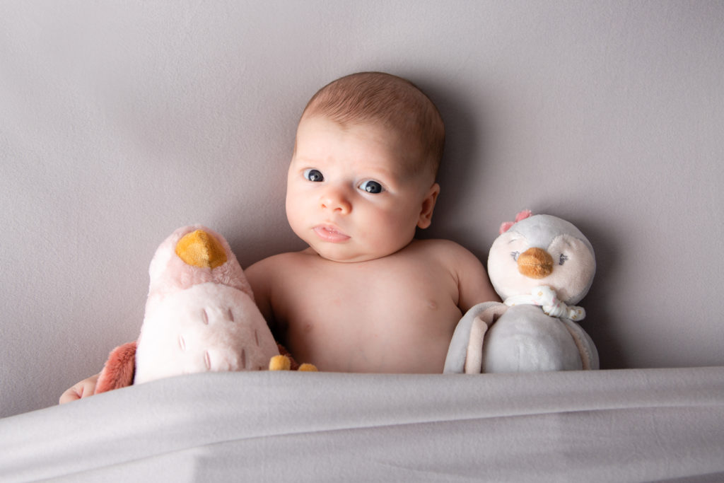 photographie de Nouveau né fille en studio avec des peluches - pose nouveau né - Oise - Compiègne