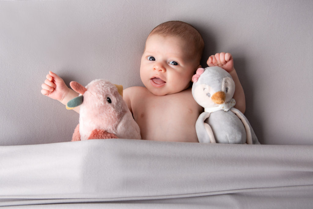 photographie de Nouveau né fille en studio avec des peluches - pose nouveau né - Oise - Compiègne